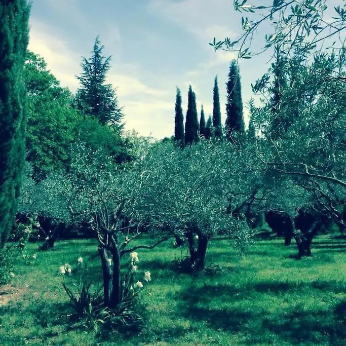 Dreamy Guesthouse Amidst A Marvellous Property Caromb 0*,