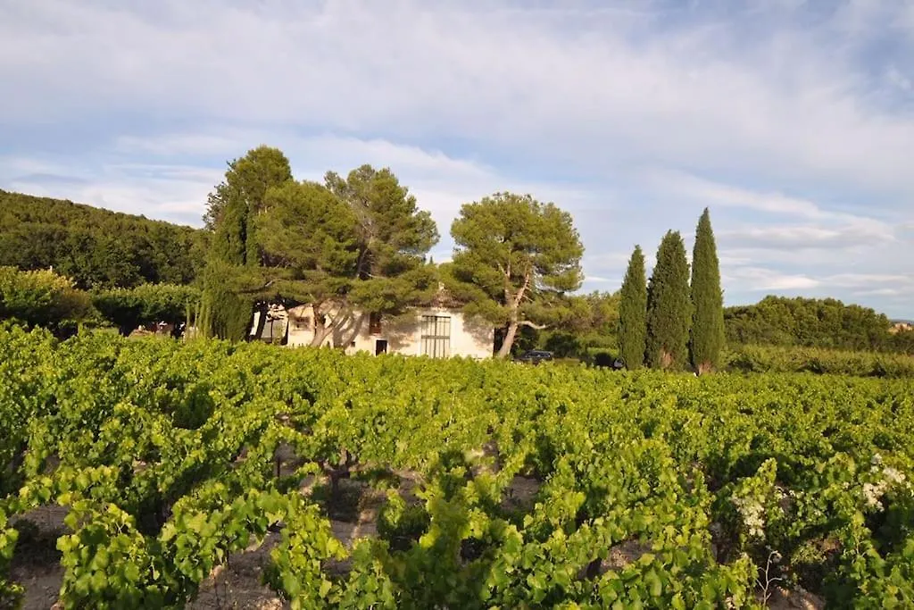 Holiday home Dreamy Guesthouse Amidst A Marvellous Property Caromb